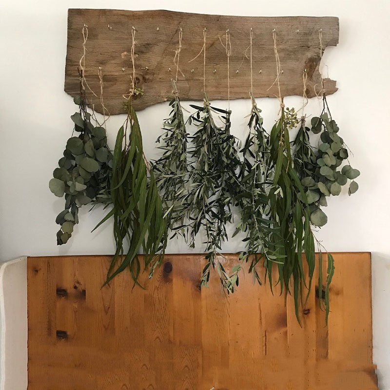 Eukalyptus & Lavendel Trockenblumen-Set