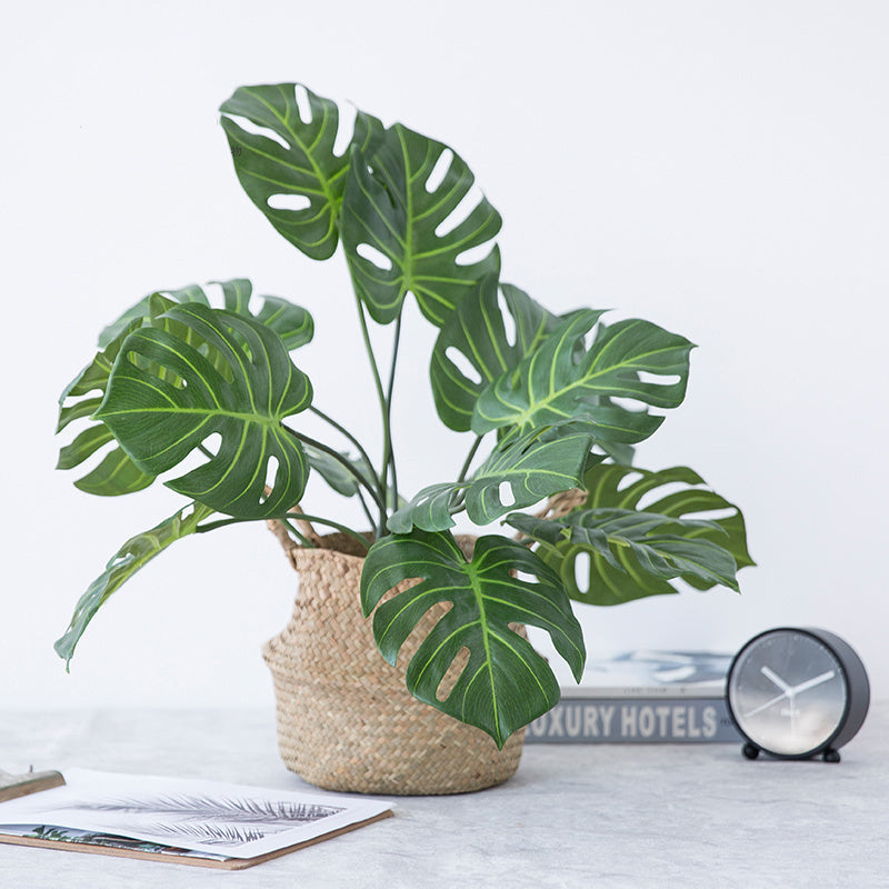Monstera Dekoblätter