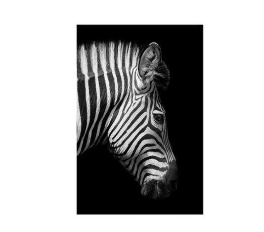 Zebra-Wandbild