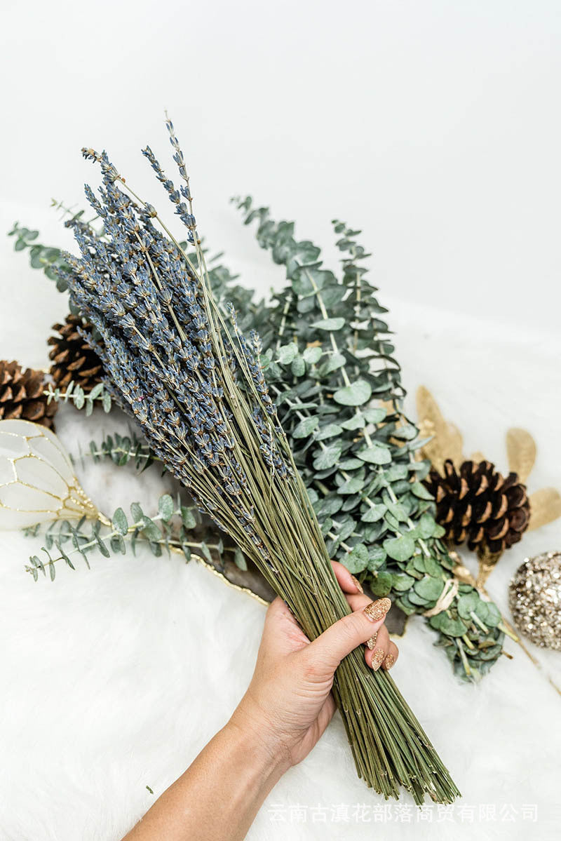 Eukalyptus & Lavendel Trockenblumen-Set