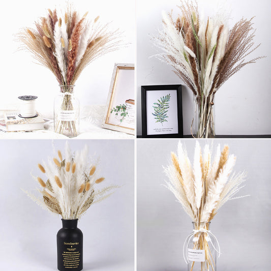 Trockenblumen-Set
